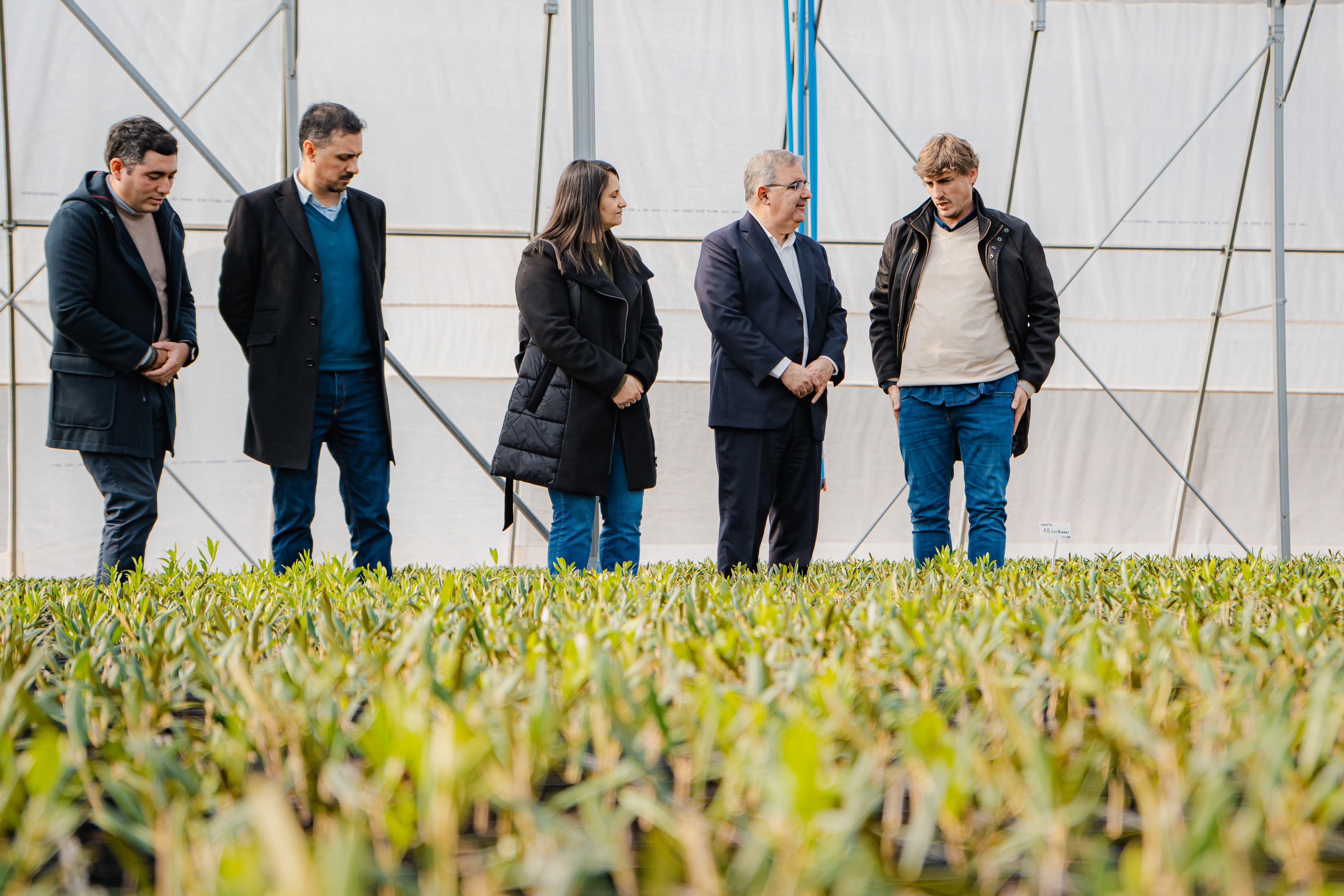 empresa-agroindustrial-inaugura-un-vivero-con-tecnologia-de-avanzada-en-fme-1-1.jpg