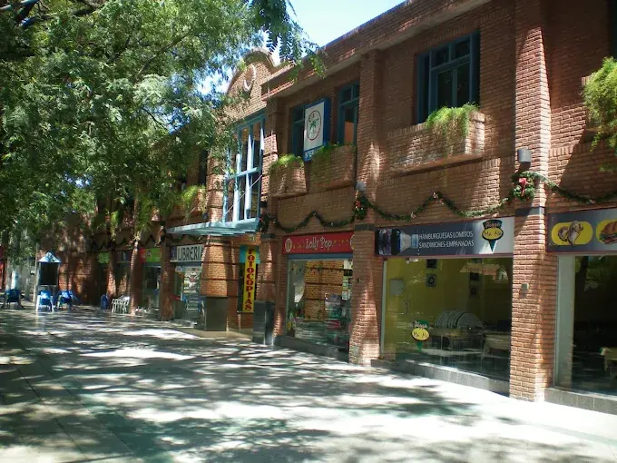 ¿Conviene tener un local en un shopping en el NOA?